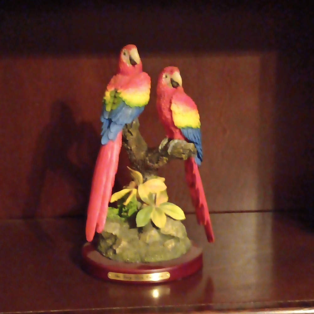 Amy and Addy The Gray Rock Collection Scarlet Macaws
